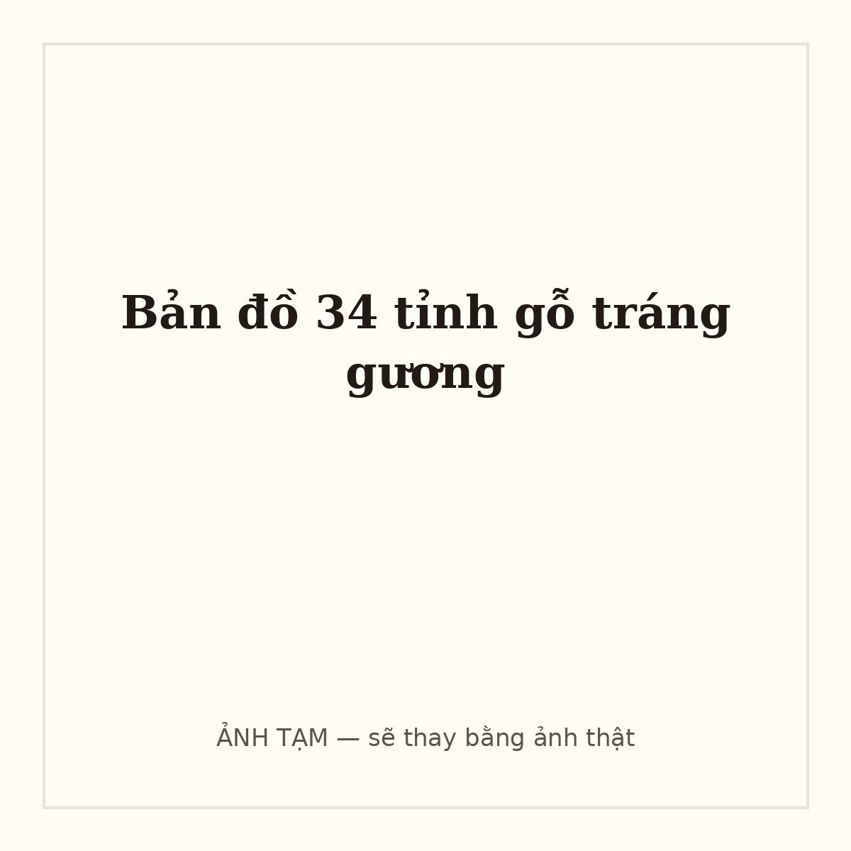 Bản đồ 34 tỉnh gỗ tráng gương