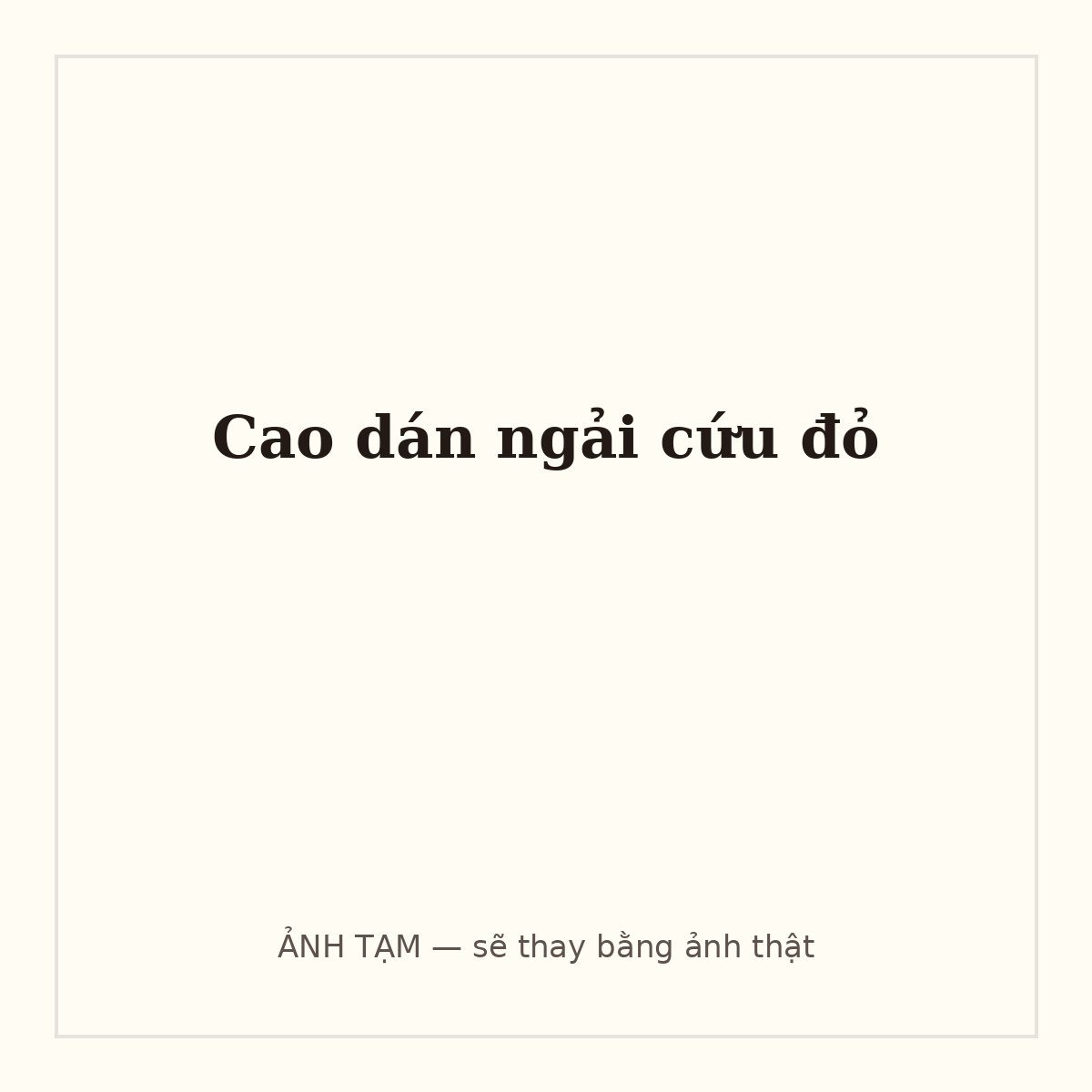 Cao dán ngải cứu đỏ