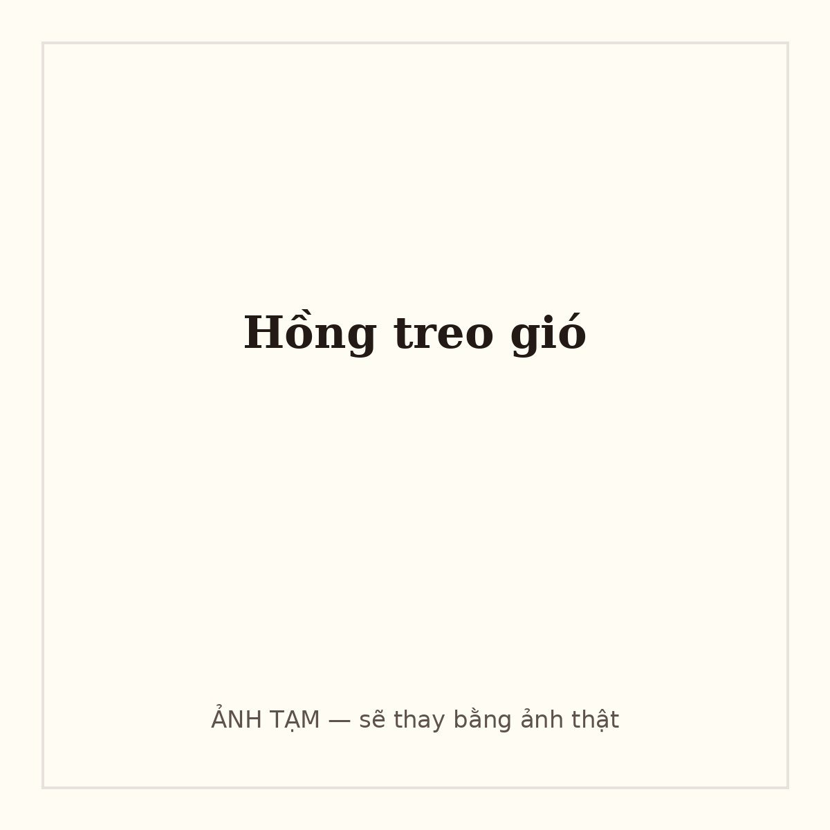 Hồng treo gió