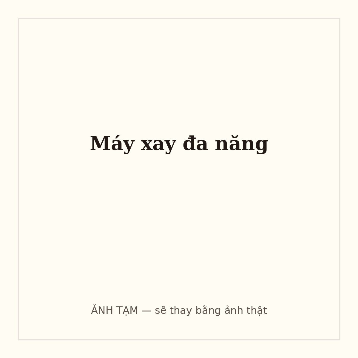 Máy xay đa năng