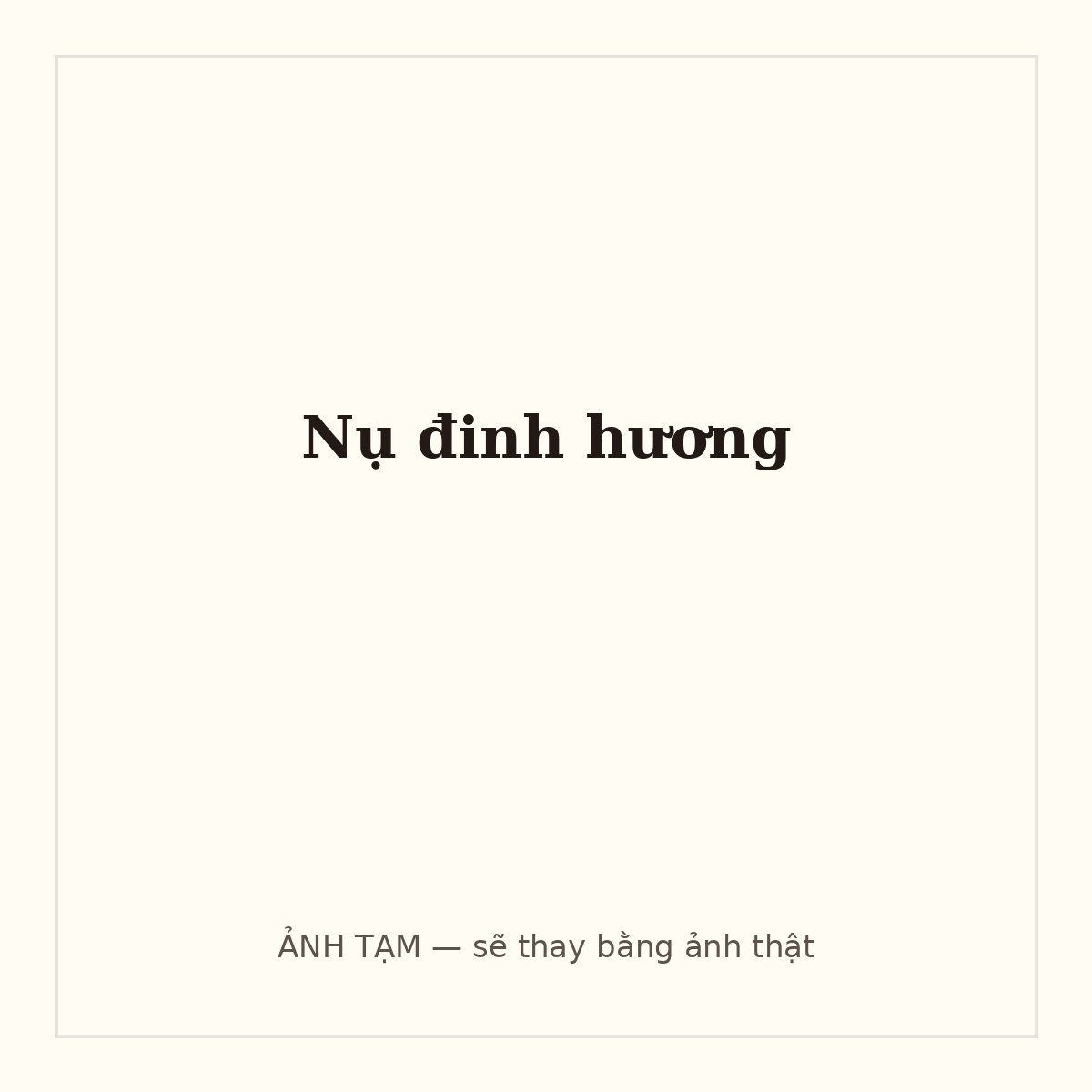 Nụ đinh hương
