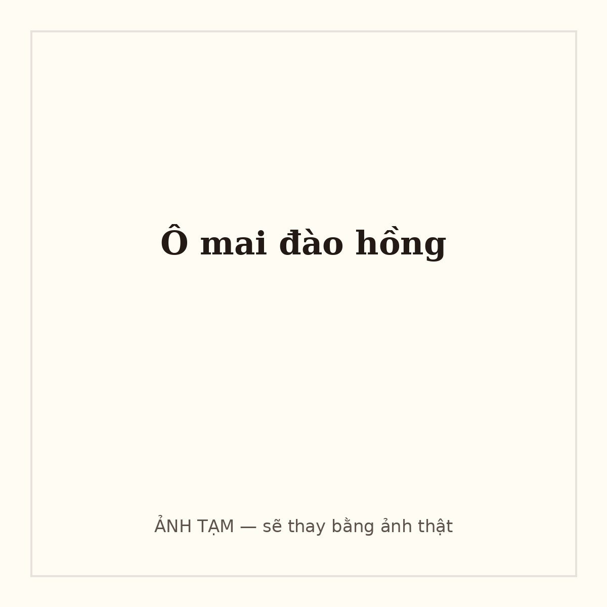 Ô mai đào hồng
