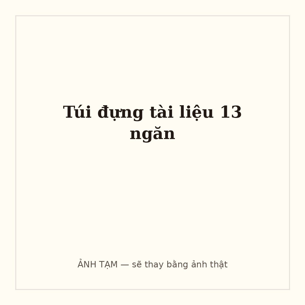 Túi đựng tài liệu 13 ngăn