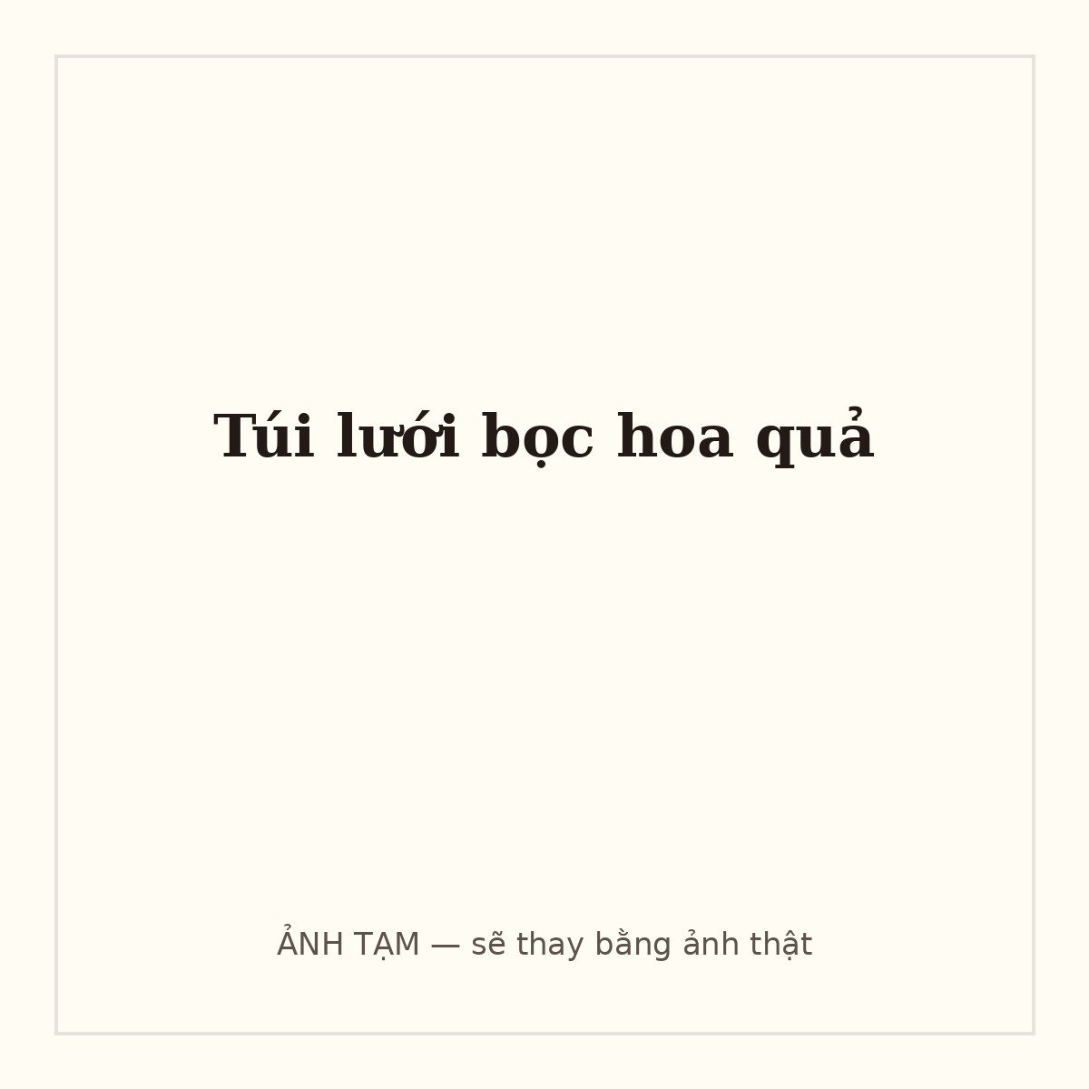 Túi lưới bọc hoa quả